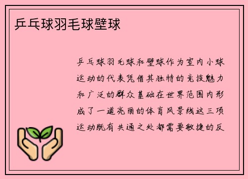 乒乓球羽毛球壁球