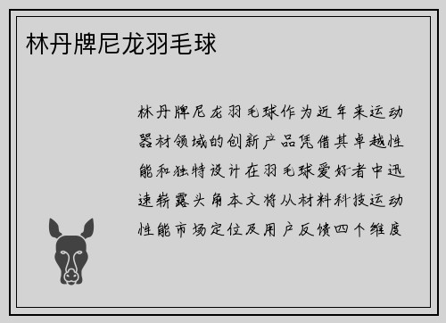 林丹牌尼龙羽毛球