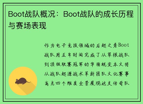 Boot战队概况：Boot战队的成长历程与赛场表现