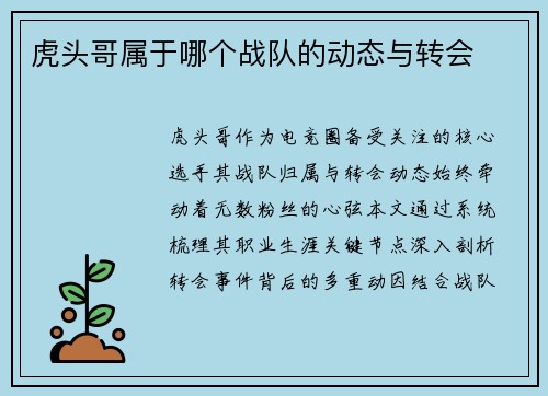 虎头哥属于哪个战队的动态与转会