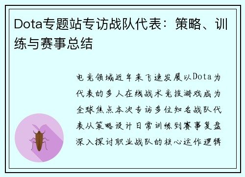 Dota专题站专访战队代表：策略、训练与赛事总结